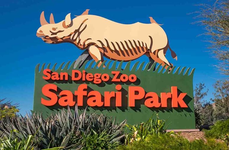 San Diego Zoo welcomes 1st aardvark birth in years