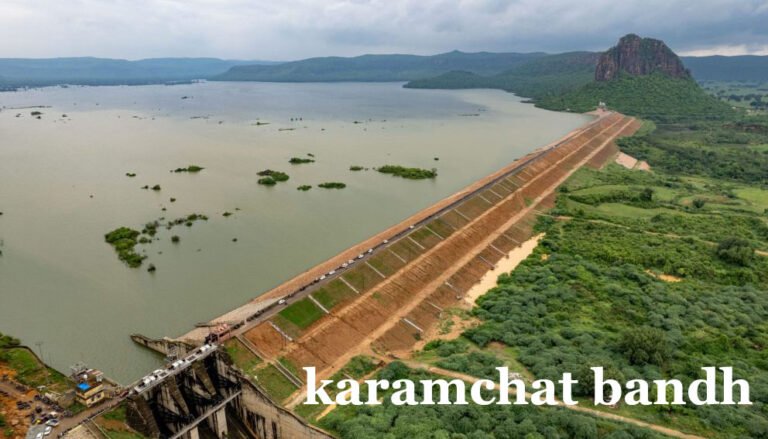 Kaimur’s Durgavati reservoir becomes New Year’s picnic spot, and boating begins