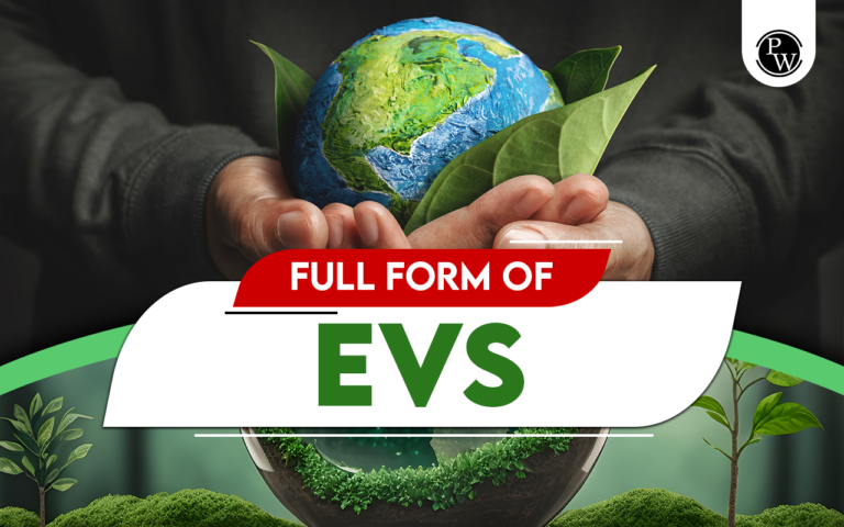 What Is The Full Design and Meaning Of EVS